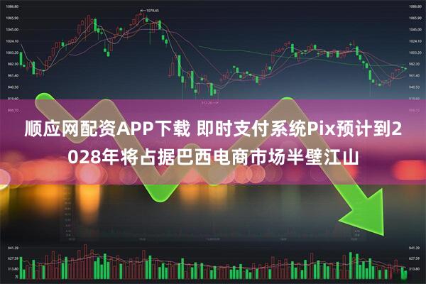 顺应网配资APP下载 即时支付系统Pix预计到2028年将占据巴西电商市场半壁江山
