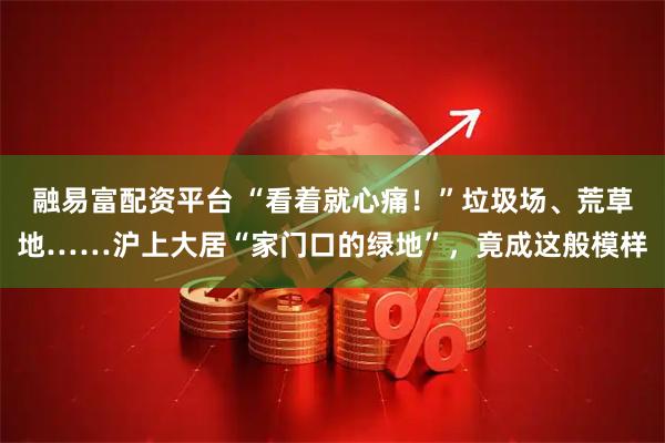 融易富配资平台 “看着就心痛！”垃圾场、荒草地……沪上大居“家门口的绿地”，竟成这般模样