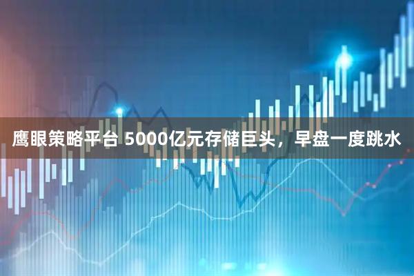 鹰眼策略平台 5000亿元存储巨头，早盘一度跳水